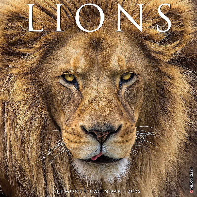 2026 Willow Creek Lions 12" x 12" Monthly Wall Calendar (55915) image 1