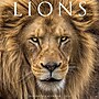 2026 Willow Creek Lions 12" x 12" Monthly Wall Calendar (55915)~#|#~BF8A3CCC-BF06-45F9-8CA4E61444117770_sc7