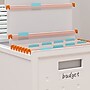 Techni Mobili Storage Container with Lid, Plastic, White, 2/Pack (RTA-SBXF205)~#|#~BF990C5E-2A30-449D-804550A6A819760D_sc7