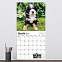 2027 TF Publishing Puppies 11" x 11" Monthly Wall Calendar, Multicolored (27-1025)~#|#~BF9FB98B-5C64-46F8-9476F4FD7B79171C_sc7