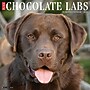 2026 Willow Creek Chocolate Labs 12" x 12" Monthly Wall Calendar (50705)~#|#~BFA89B1E-492C-4D1C-85D4656EF81A385C_sc7
