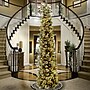 National Tree Company Carolina Pine Artificial Christmas Trees (CAP3-330-100)~#|#~BFB3E249-35CF-46B3-AEA0F930B483D12D_sc7