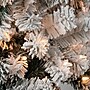 National Tree Company Acacia Artificial Christmas Trees (AC100-304-60F)~#|#~BFB9D1B2-FA59-4586-8A10494C88F055CF_sc7