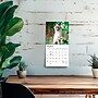 2027 BrownTrout Cat Lovers 7" x 7" Monthly Wall Calendar, Assorted Colors (9798330709717)~#|#~BFBE1275-4C18-4266-BDD1DF287B026EEC_sc7