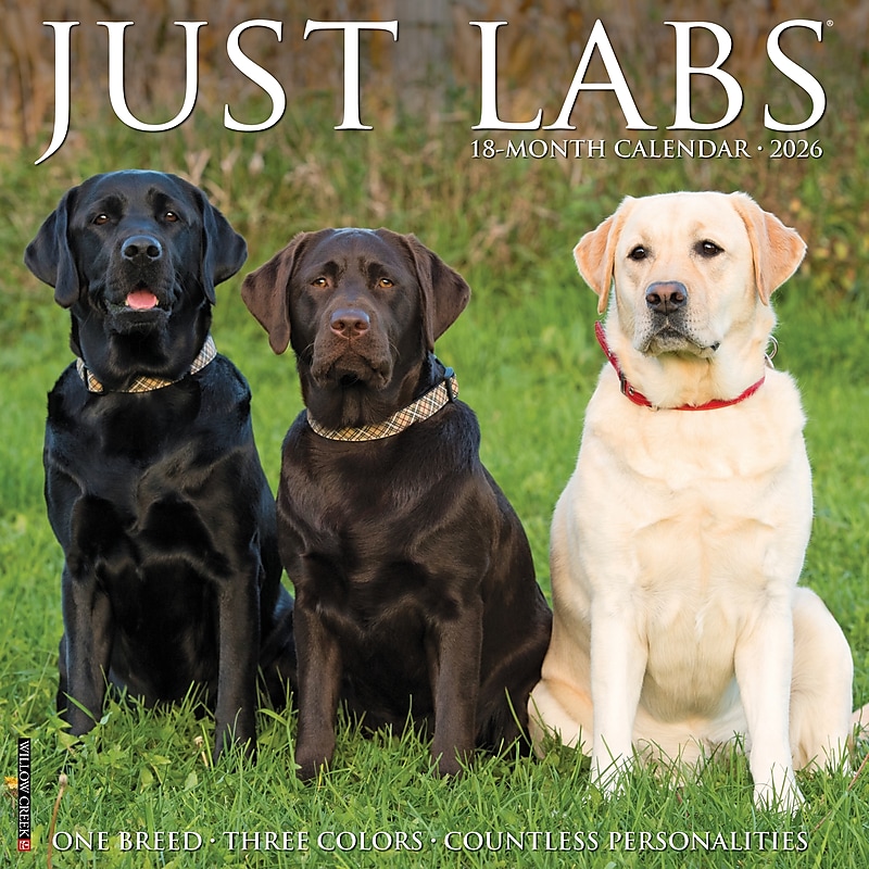 2026 Willow Creek Labs 12" x 12" Monthly Wall Calendar (51733) image 1