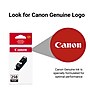 Canon 250 Black Standard Yield Ink Cartridge (6497B001)~#|#~BFCD5796-5134-49FD-B9D86CFF03B88656_sc7