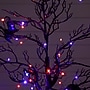 Nearly Natural Pre-Lit Artificial Halloween Black Spooky Twig Tree, 4' (T5232)~#|#~BFD29D81-3507-4E14-BBE4BF1EF4E0770F_sc7