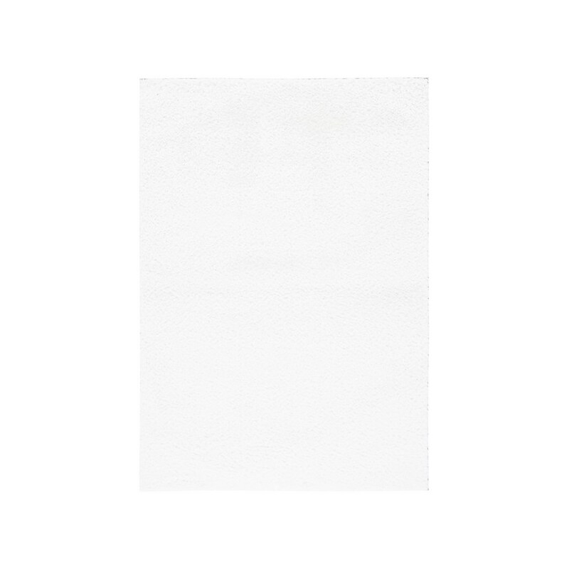 Safavieh Tahoe Shag Collection 4' x 6' Rectangle Indoor Area Rug, Machine Made, White (THO670A-4) image 1