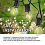 Newhouse Lighting Globe Party LED String Lights, 50 ft., Black (PSTRINGLED50)~#|#~BFDE71D9-30FB-48DF-B827B0E52826D62B_sc7