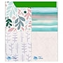 Puffs Plus Lotion Facial Tissue, 2-ply, 56 Tissues/Box, 4 Boxes/Pack (34899)~#|#~C02D18B0-3621-4D1D-88FC447B66F2D4E6_sc7