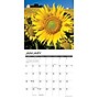 2026 Willow Creek Sunflowers 12" x 12" Monthly Wall Calendar (52907)~#|#~C035EF3D-9946-48E5-9D44833AA69B35A4_sc7