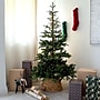 Nearly Natural 6-ft Pre-Lit Artificial Idaho Mixed Fir Christmas Tree with 130 Warm White LED Lights (T4791)~#|#~C040DD7A-E830-43E5-8B978EC384AB4C62_sc7