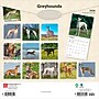 2026 BrownTrout Greyhounds 12" x 12" Monthly Wall Calendar (9798330703555)~#|#~C041BEBE-0CBA-459D-8901E1E536DDE561_sc7