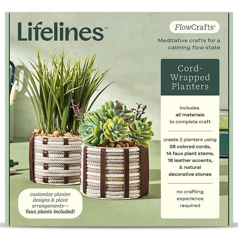 Lifelines FlowCrafts: Cord-Wrapped Planters (167005) image 1