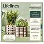 Lifelines FlowCrafts: Cord-Wrapped Planters (167005)~#|#~C04E6D85-E2A8-4CE0-87537DD744AE2D0A_sc7