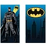 Party City 2-Piece Batman Birthday Backdrop (AM677970)~#|#~C05905CF-4FD2-41C6-8BA2CE77FC4C4737_sc7