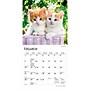 2027 BrownTrout For the Love of Kittens 7" x 7" Monthly Wall Calendar (9798330709731)~#|#~C0643A7F-A7FC-41D5-8FE20958C7ECE407_sc7
