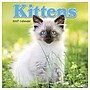 2027 TF Publishing Kittens 7" x 7" Monthly Wall Calendar, Multicolored (27-2002)~#|#~C0643B11-EFB7-44D0-B10BF0D44117EA15_sc7