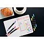 BIC Intensity Dual Tip Highlighter, Medium & Broad Point, Assorted Ink, 6/Pack (HLPDT6-AST)~#|#~C0794B5D-6D9E-4293-890D3CC5A42FFB93_sc7