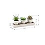 Monarch Specialties Inc. 6" Artificial Succulent Plants, 3/Set (I 9373)~#|#~C07FA243-AD38-4C03-8CC704E2F8D89861_sc7