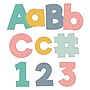 Carson Dellosa 4" We Belong Combo Pack EZ Letters and Numbers, Multicolored, 219/Pack, 2 Packs/Bundle (CD-130097-2)~#|#~C08A1341-4D5F-498A-9D228CDC9FED9C69_sc7