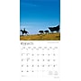 2026 BrownTrout Sunflower State Kansas Places 12" x 12" Monthly Wall Calendar (9798330705672)~#|#~C0B50D61-99ED-4749-B67ABCDB0A7BEDB7_sc7