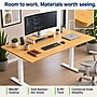 Uncaged Ergonomics Rise Up 60"W Electric Adjustable Bamboo Standing Desk, Natural/White (RUWB)~#|#~C0B99F22-8ACF-4E53-95CF9DB06E2CF996_sc7