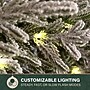 Fraser Hill Farm 24” Real Feel Pre-Lit Artificial Wreath (FFRF024W-5MSN)~#|#~C0BBDF89-A0BC-41BB-9AD1925BFFCB54DD_sc7