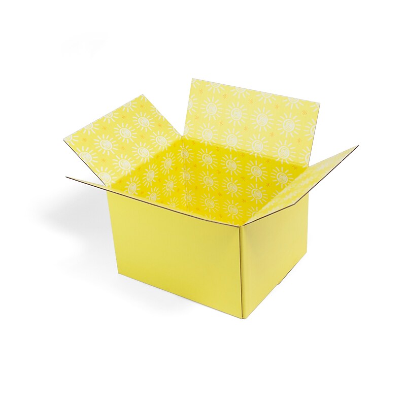 12" x 8" x 10" Shipping Boxes, 200# Mullen Rated, Double Wall, Yellow, 2/Pack (2022025) image 1