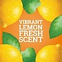 Pine-Sol Multi-Surface Cleaner/Degreaser, Lemon Fresh Scent, 80 Fl. Oz. (60607)~#|#~C0CB4521-2F6D-40D1-8A4B70E272A90D65_sc7
