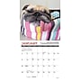 2026 Willow Creek Pug Mugs 7" x 7" Monthly Wall Calendar (53713)~#|#~C0D2FDEE-4096-4742-A7EAAB330E1549D7_sc7
