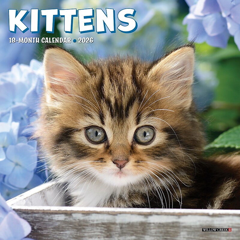 2026 Willow Creek Kittens 7" x 7" Monthly Wall Calendar (53638) image 1