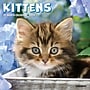 2026 Willow Creek Kittens 7" x 7" Monthly Wall Calendar (53638)~#|#~C0D43AA3-176C-4C53-9B9D339B9CA01F6C_sc7