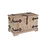 Household Essentials Decorative Trunk (HH9544-1)~#|#~C0DCD9FB-AE9F-4237-A289A0C5C192A97A_sc7
