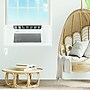 Hisense 115-Volt 12000 BTU Window Air Conditioner with Remote, WiFi Enabled, White (AAW12CW26)~#|#~C0ED794C-B7E2-4AB7-96EE6F5373B3A688_sc7