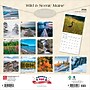 2026 BrownTrout Maine Wild & Scenic 12" x 12" Monthly Wall Calendar (9798330704477)~#|#~C0EE2EF9-9499-4FEA-BFCF364BAB19C2C5_sc7