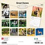 2027 BrownTrout Great Danes 12" x 12" Monthly Wall Calendar (9798330714216)~#|#~C0F471F2-2B34-4FFD-AD817721D29BE967_sc7