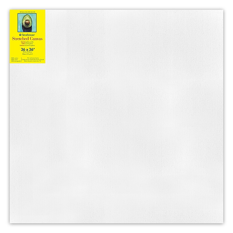 Strathmore 300 Series Primed White Stretched Canvas, 36" x 36", (STT31433) image 1