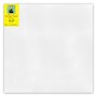 Strathmore 300 Series Primed Gallery Stretched Canvas, 36x36 inch (STT31433)~#|#~C0F62B3B-F319-414C-8496B8E765CEBD8E_sc7