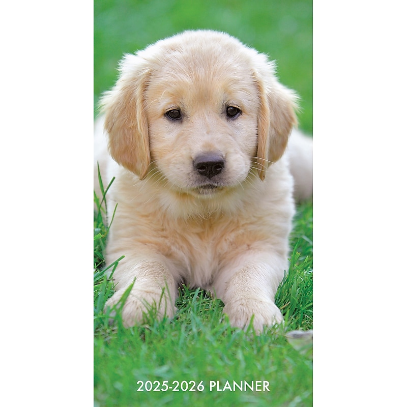 2025-2026 Willow Creek Puppy Love 3.5" x 6.5" Yearly Planner, Paperboard Cover (47088) image 1