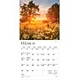 2026 BrownTrout Psalms 7" x 7" Monthly Wall Calendar (9798330705191)~#|#~C10FDB26-D524-4E52-B7855F7D594B328A_sc7