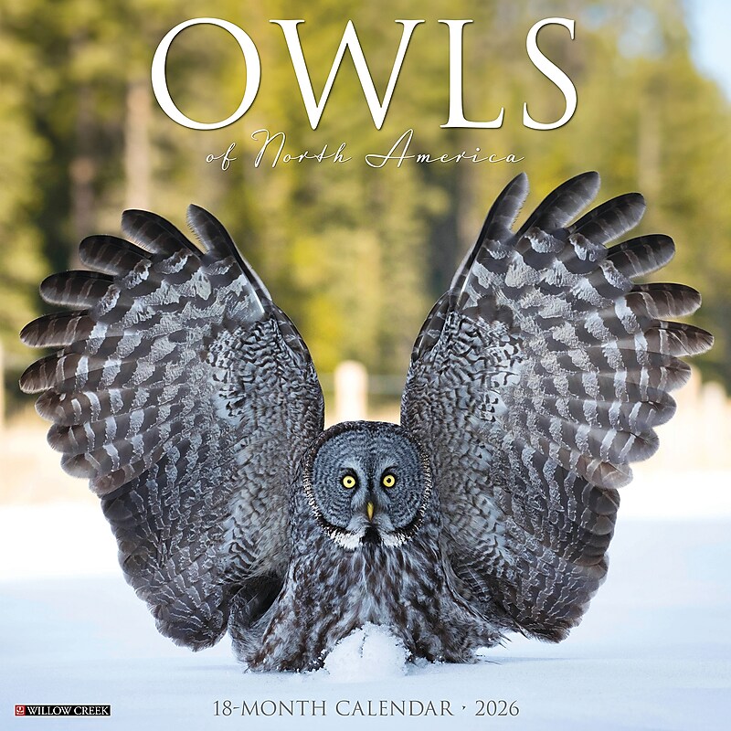 2026 Willow Creek Owls 12" x 12" Monthly Wall Calendar (52266) image 1