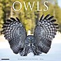 2026 Willow Creek Owls 12" x 12" Monthly Wall Calendar (52266)~#|#~C114507C-EAC1-4BD7-A8CF58206A35ABB7_sc7