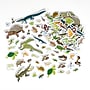 Ready2Learn Foam Reptile and Amphibian Stickers, Multicolored, 184/Pack (CE-10123)~#|#~C124A136-1CE6-4CC1-841EA5050FBCC129_sc7