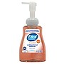 Dial Professional Antibacterial Defense with Aloe Foaming Hand Soap, Original Scent, 10 Fl. Oz., 8/Carton (1700035446)~#|#~C12D6403-F49B-4638-85893F2E160EBF26_sc7