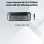 Canon 42 Black Standard Yield Ink Cartridge  (6384B002)~#|#~C1382F2D-0EF8-4CA6-8B947338D7D67D2E_sc7