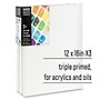 Liquitex BASICS Primed White Cotton Stretched Canvas, 12" x 16", 3/Pack (LIQ472012016)~#|#~C1433F9F-3DA2-4C61-9C5D92C3E55B2CCF_sc7