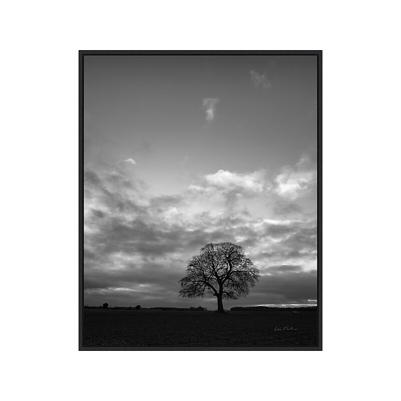 Amanti Art Horizon Tree BW, Canvas, 23" x 28" (A42675515097) image 1