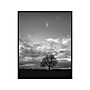 Amanti Art Horizon Tree BW, Canvas, 23" x 28" (A42675515097)~#|#~C1483036-41E6-4DE8-A2CFF9C564315DA5_sc7