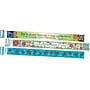 Barker Creek Double-Sided Border Set, 35" x 3", Summer Fun, 3 designs, 36/Set (4043)~#|#~C1584020-E80B-48E4-B0F7548FD61FDABE_sc7